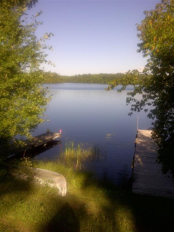 195 (Medium) Birch Point Resort